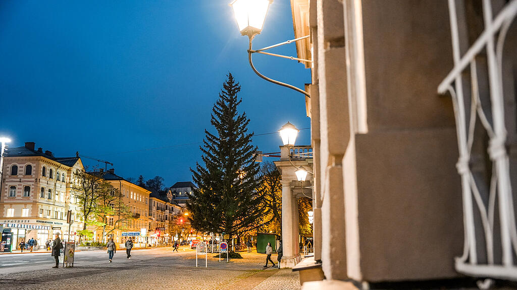 Christbaum MIrabellplatz