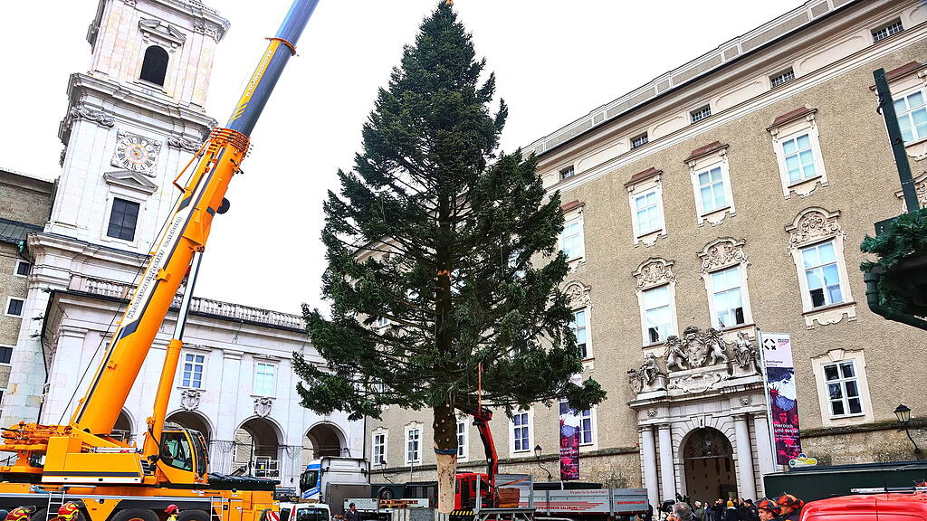 Baum am Christkindlmarkt eingetroffen II