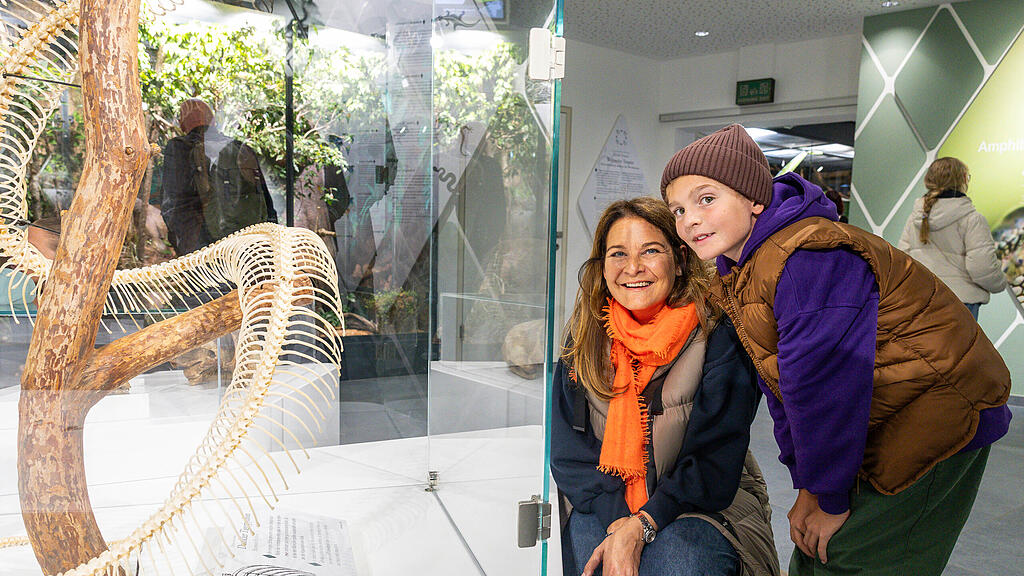 Lange Nacht der Museen