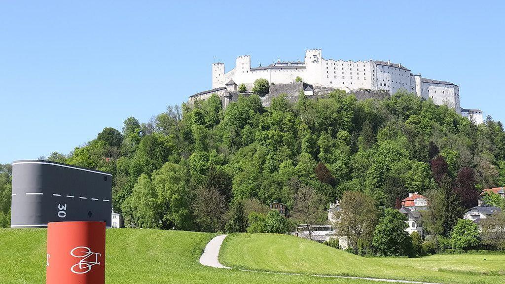 "Rüben" am Krauthügel