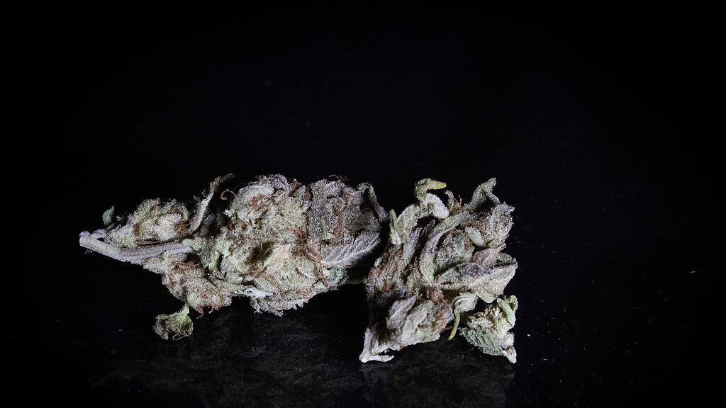 Cannabis-Fund Piding