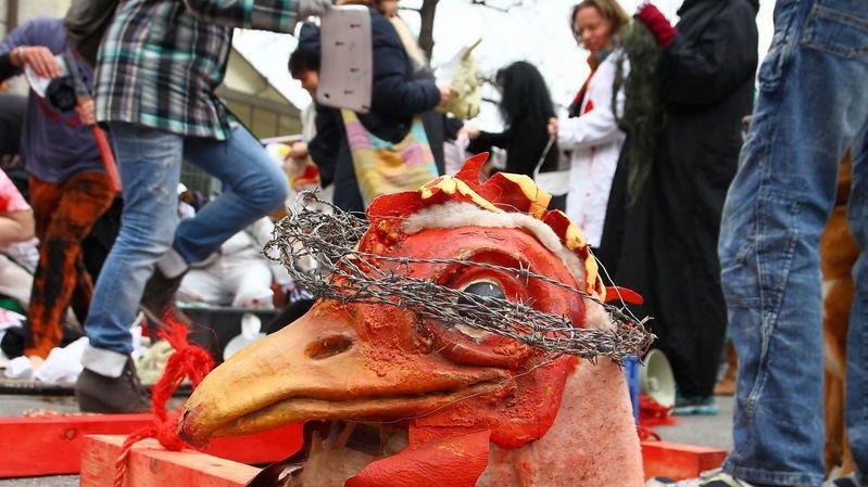 Tierrechtsdemo in Salzburg