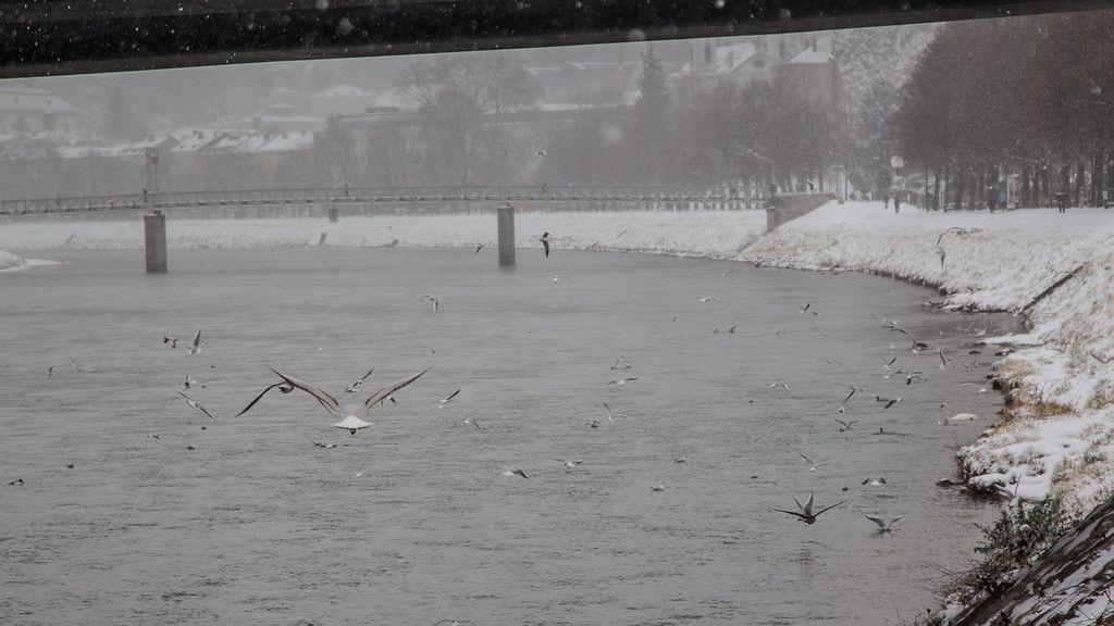 Schneechaos in der Stadt Salzburg