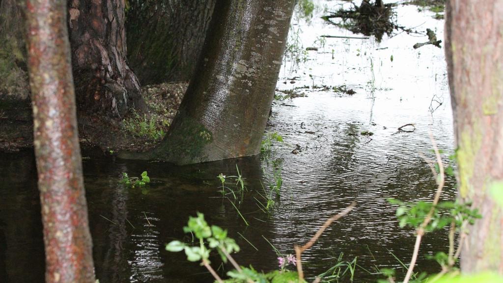 Hochwasser: Lage im Lkr. Traunstein angespannt