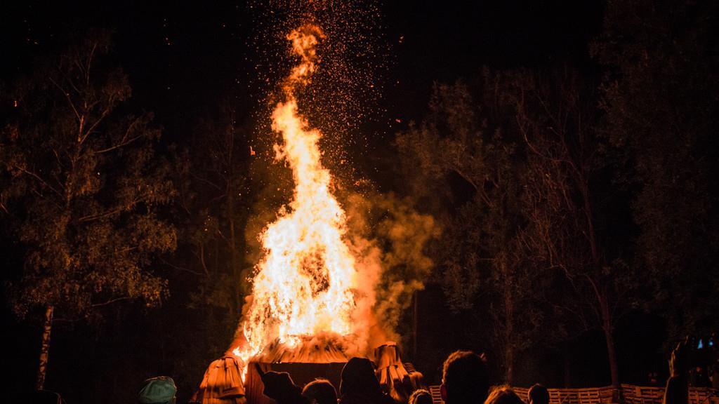 Burning Animal II