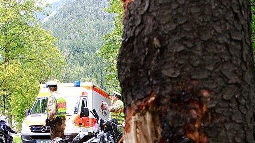 Biker prallt in Baum