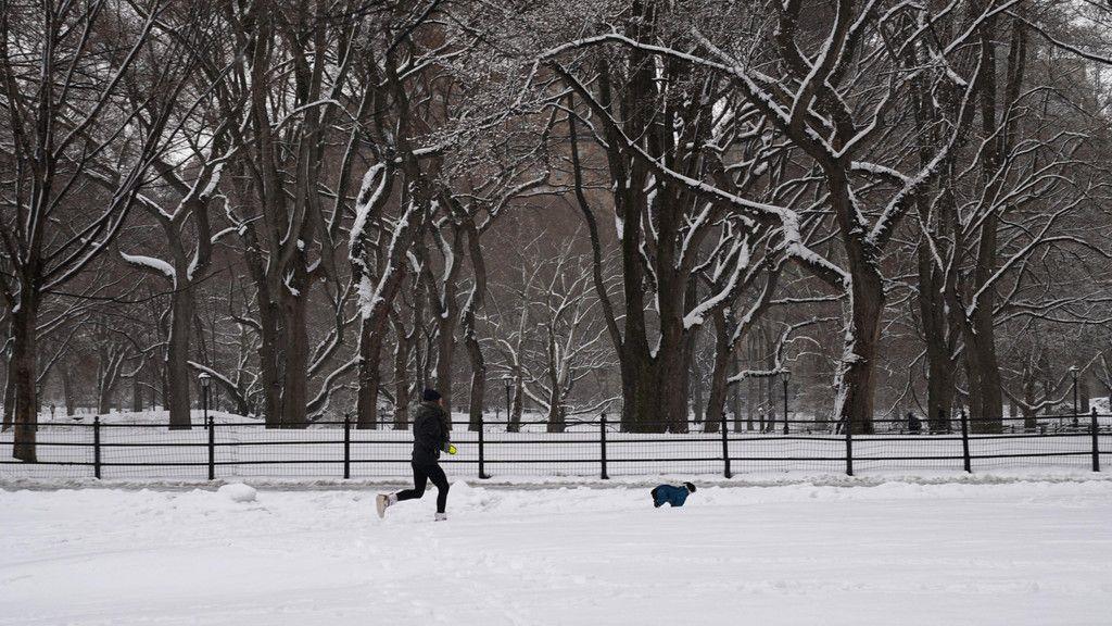 Schnee-Chaos in New York City