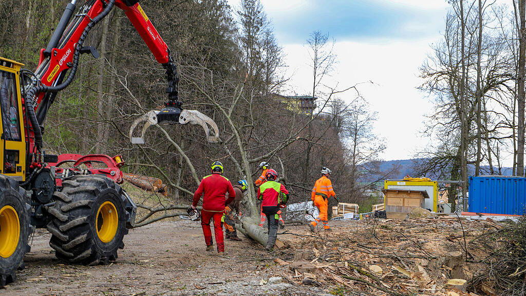 Baumfällungen per Hubschrauber am Kapuzinerberg