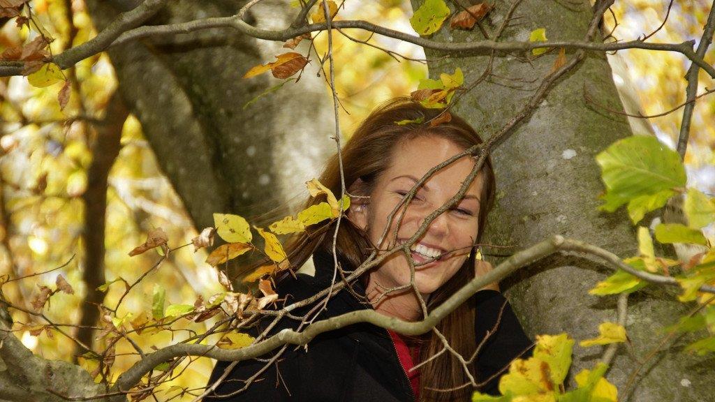 Herbst in Spital am Phyrn