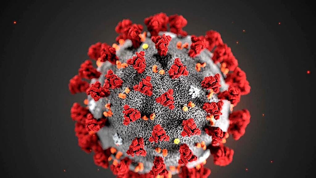coronavirus-5367891_1920.jpg