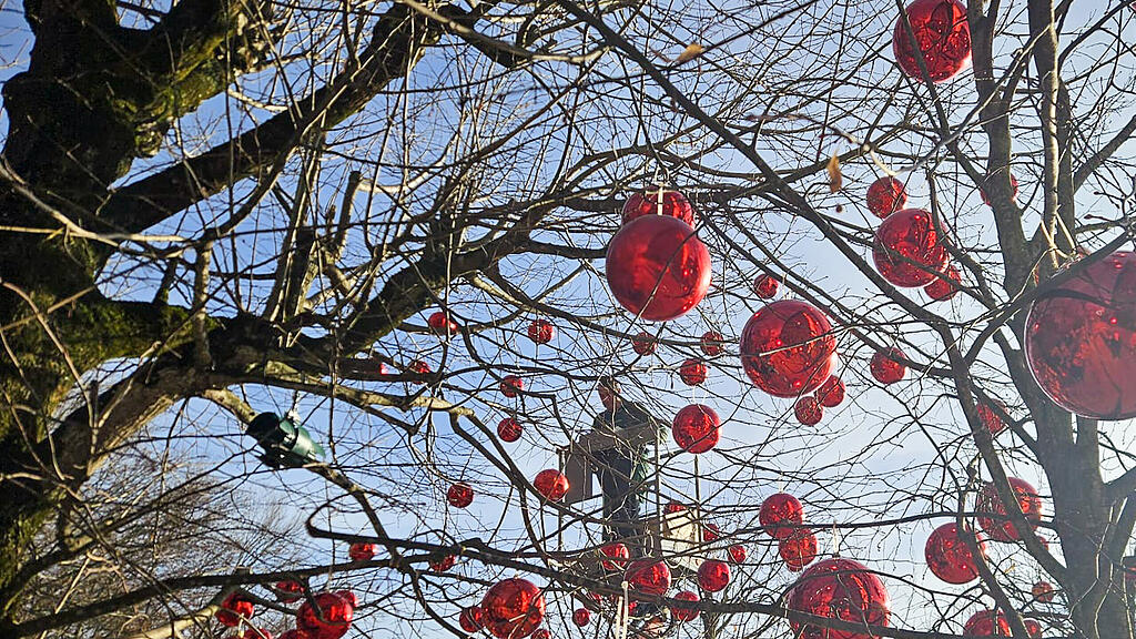 Aufbau des Plainer Christkindlmarkts in Bergheim