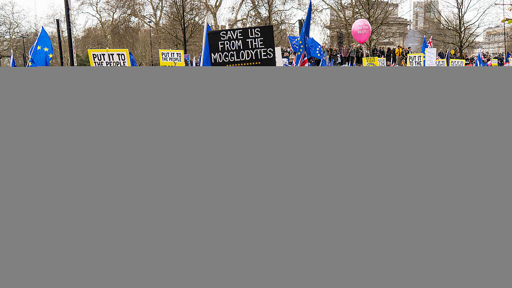 Brexit-Demo