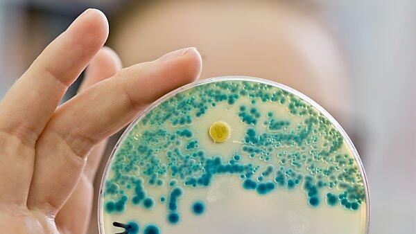 Multiresistente Keime sind weiter auf dem Vormarsch
