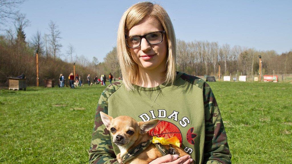 "Der gelbe Hund" in Nußdorf