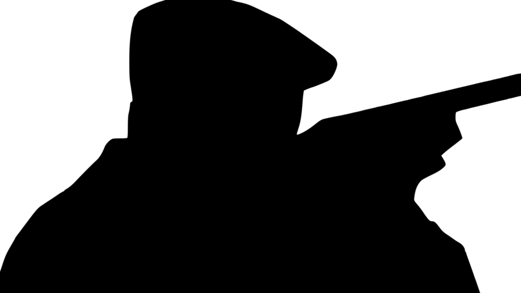 symb_schrotflinte