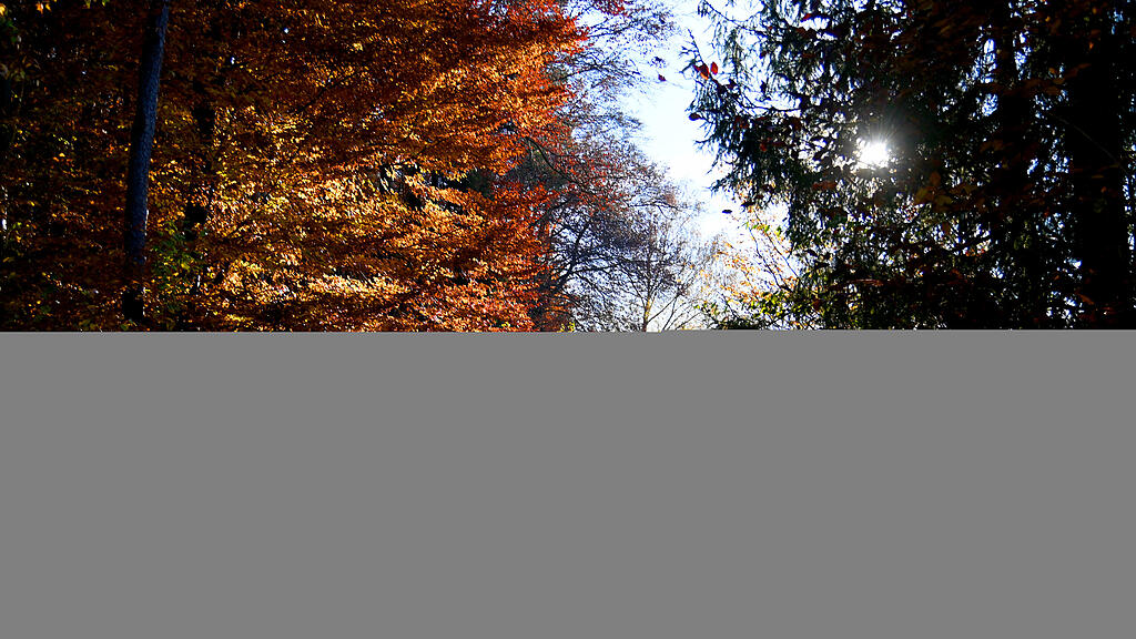 Herbst