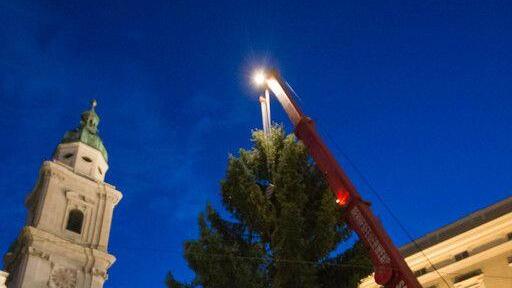 Salzburger Christbaum steht