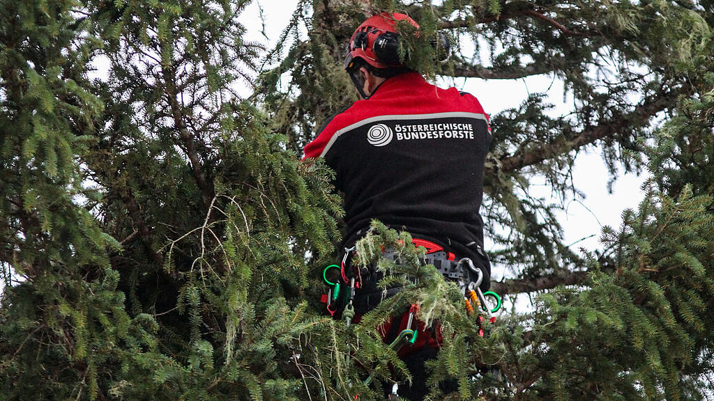 Baumaufstellung