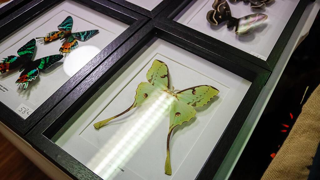 Der Kunst- und Designmarkt in Salzburg |