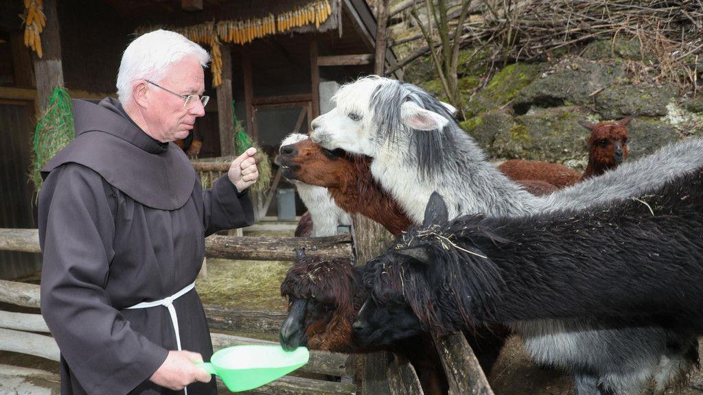 Zoo Salzburg: Erzbischof Lackner besucht Alpakas