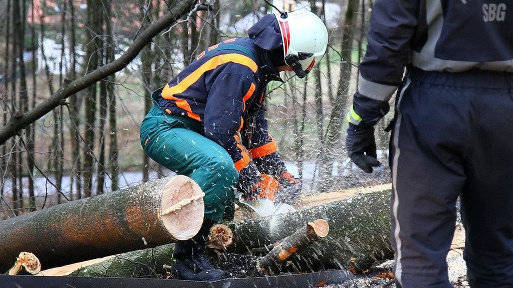 B158: Baum stürzt auf Auto