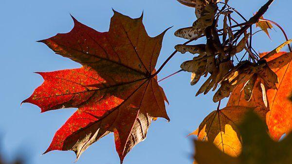 Sonniges Herbstwochenende steht bevor
