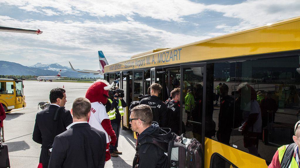 Jungbullen am Flughafen empfangen