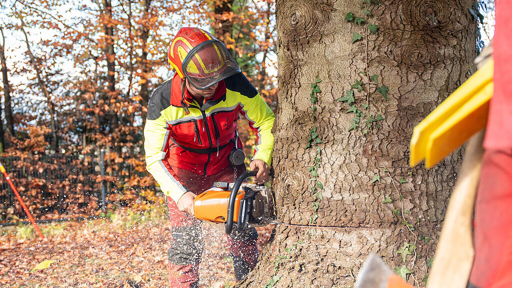 Christbaumernte in St. Jakob am Thurn
