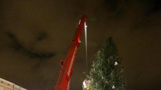 Windböe fällt Christbaum