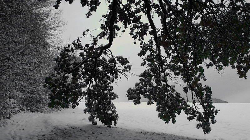 Winter in Ebenau