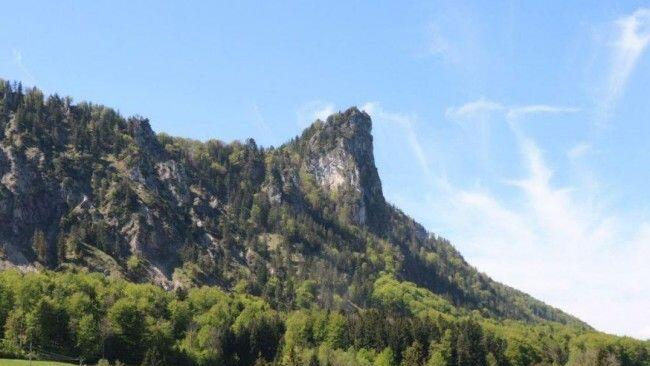 Teile des Nocksteins in Koppl könnten zum Natura-2000-Schutzgebiet erklärt werden.