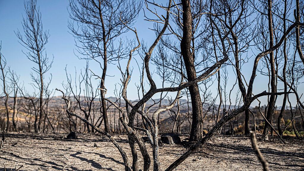 Waldbrand Spanien
