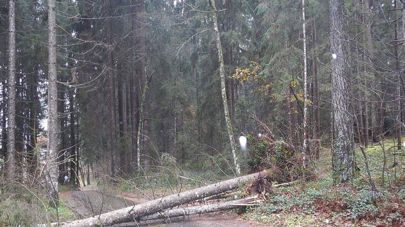 Einsätze in Saalfelden