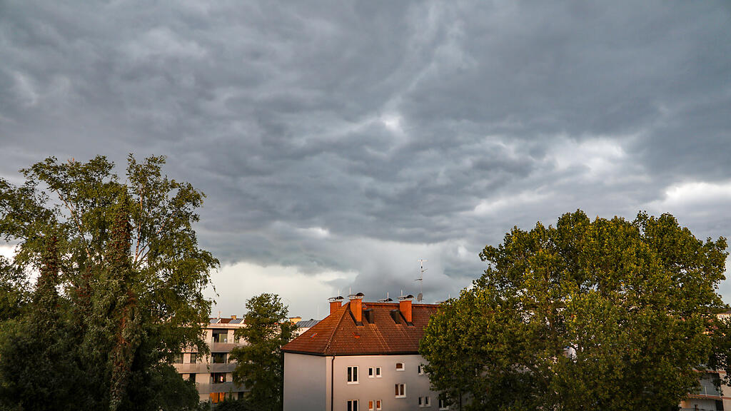 20230826_fmt_sturmschaeden_stadt_salzburg_mw-1.jpg