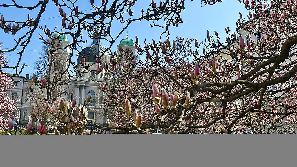20190429fmt_makartplatz_ta_006.JPG