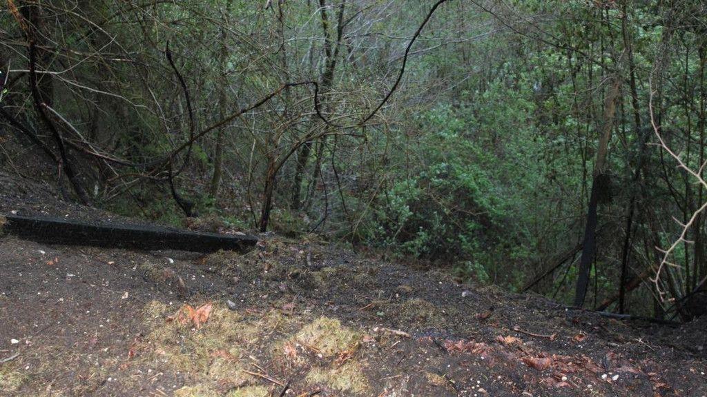 Böschungsbrand in Traunfall