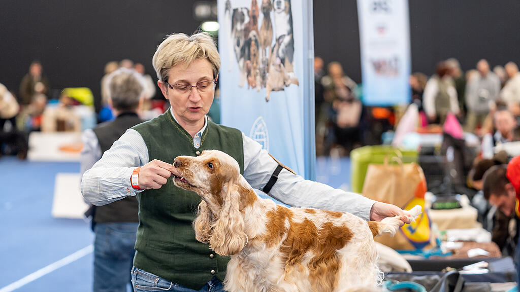 Internationale Hundeausstellung Salzburg 2022