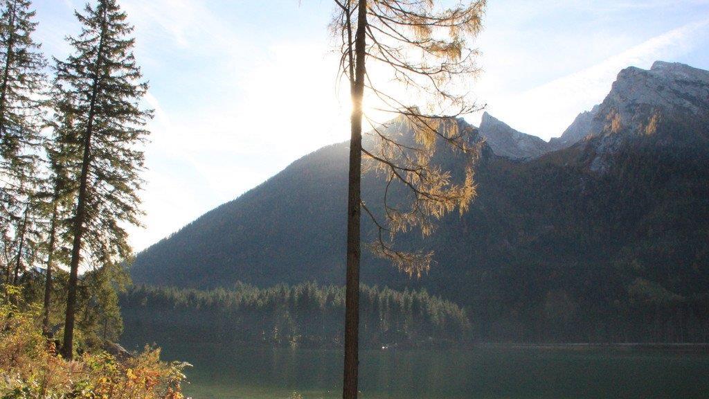 Goldener Herbst in Bayern