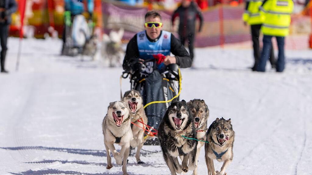 Schlittenhunde-WM in Sportgastein, Samstag