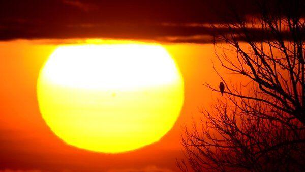 Die Sonne wird sich öfter zeigen