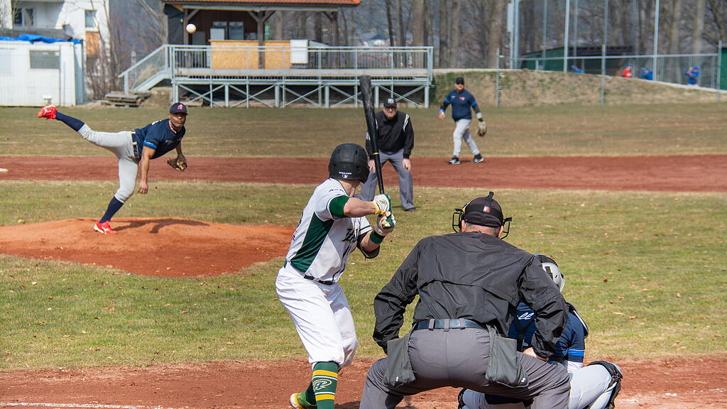 Richard Jose Bermudez Fernandez, Baseball,