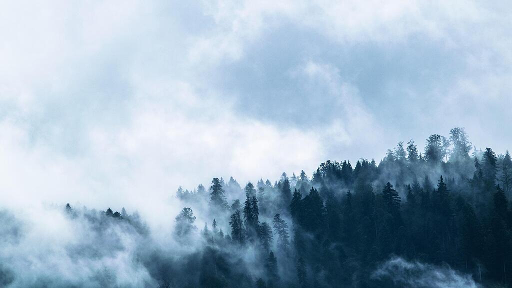 nebel_symb
