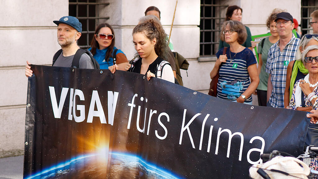 Der Weltklimastreik in Salzburg
