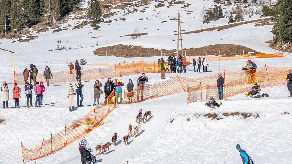 Schlittenhunderennen in Sportgastein