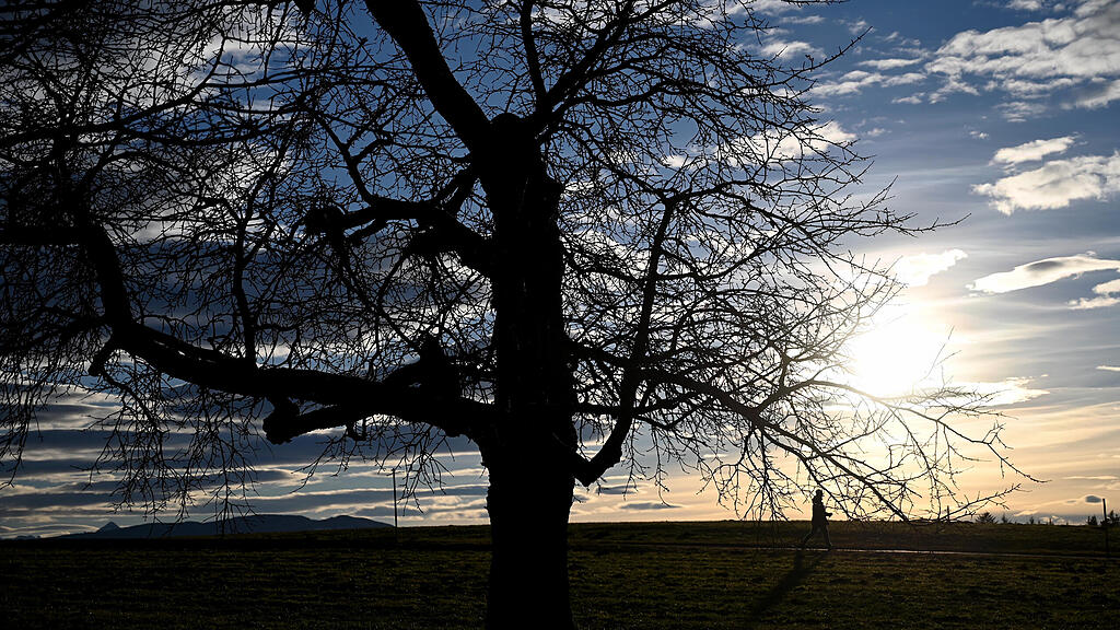 20210121_PD10364.HR.jpg