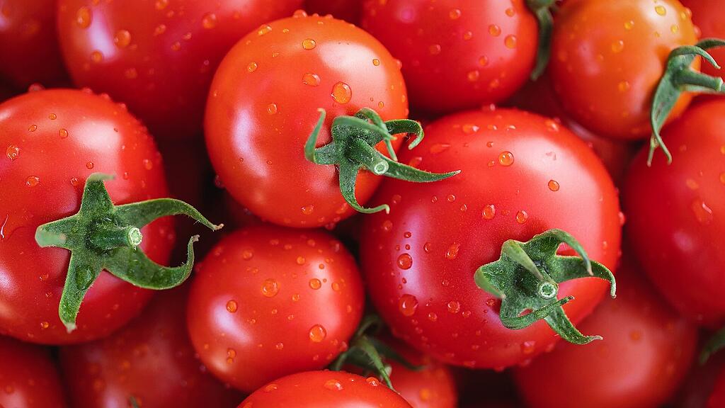 symb_tomaten