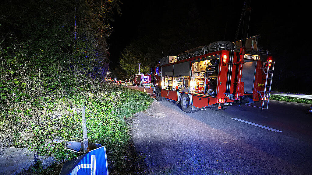 Reh_Unfall_Piding