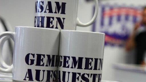 Austria Salzburg eröffnet Fanshop und fixiert ersten Transfer