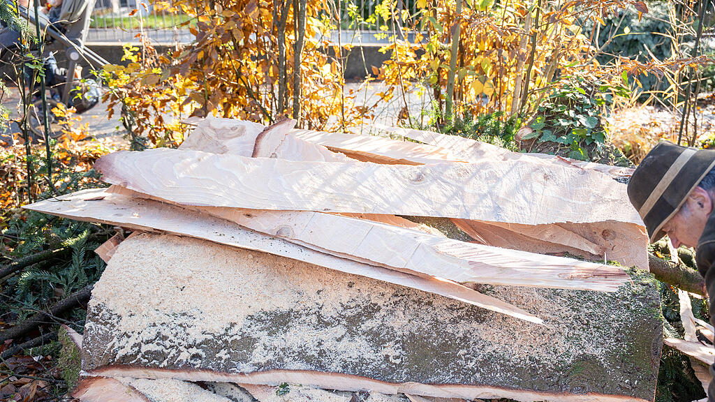 Christbaumernte in St. Jakob am Thurn