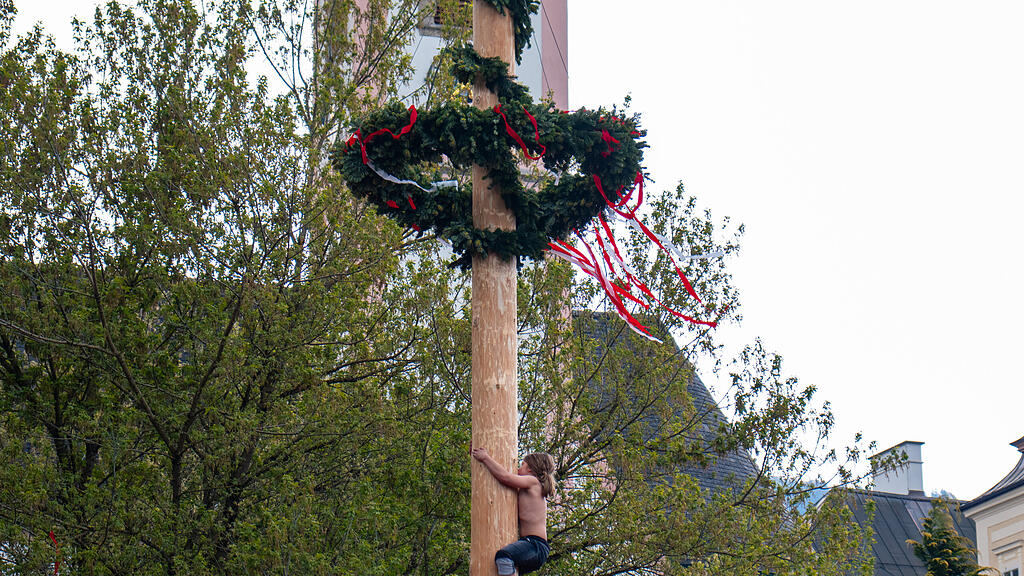 Maibaumaufstellen in Aigen